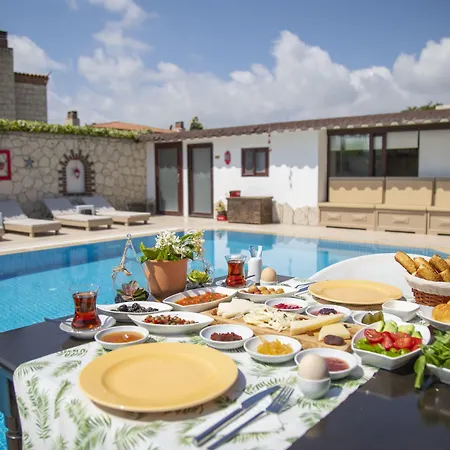 Teddy 호텔 알라카티