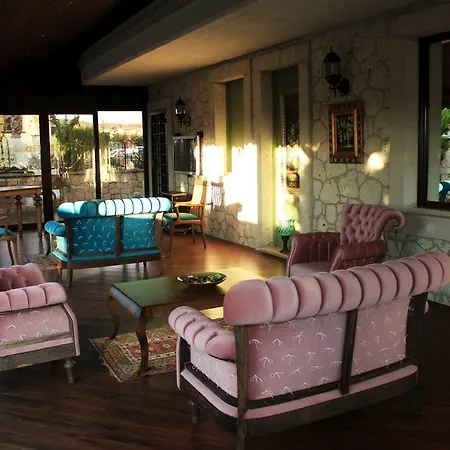 酒店 Teddy 阿拉恰特