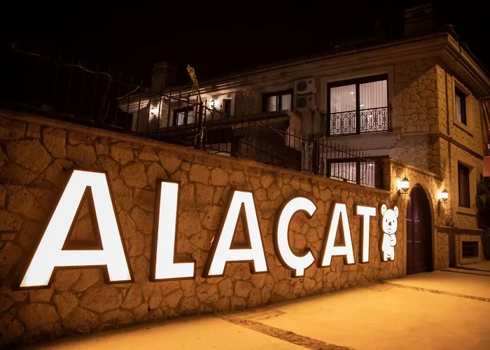 Teddy 3* אלאקאטי