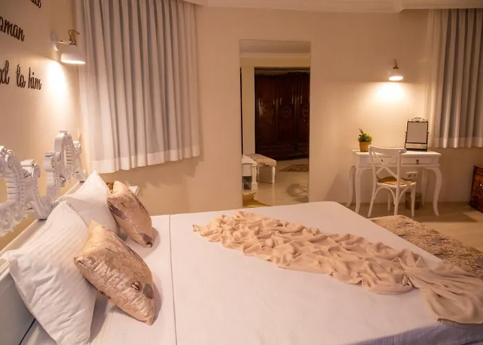 Teddy 3* אלאקאטי